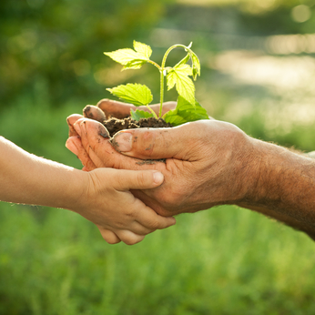 Elder man and child holding a new plant representing a new outlook on life